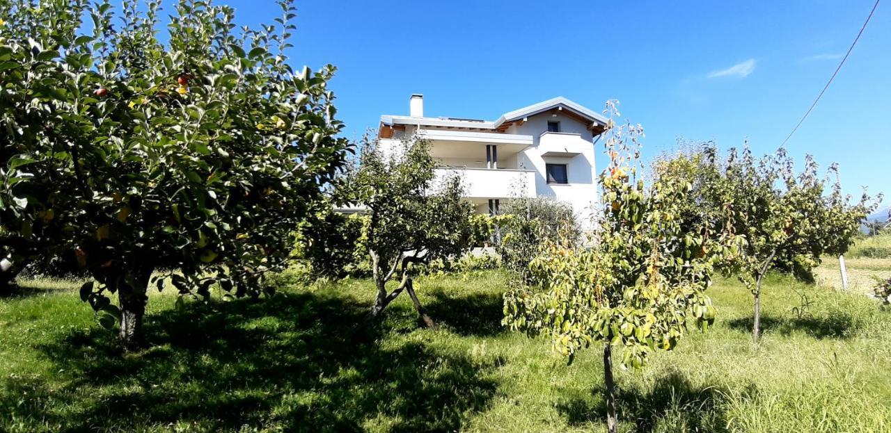 Villa Al Settimo Miglio, Alloggio Agrituristico Treppo Grande Exterior foto
